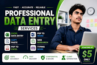 do fast and accurate data entry, excel data typing and copy paste