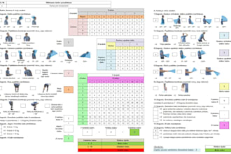 perform occupational risk assessment consulting