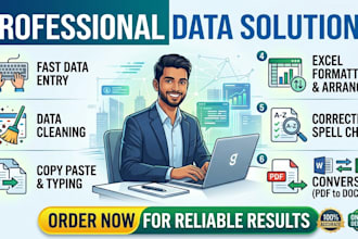do data entry, data cleaning, data formating, copypaste, manage lists on excel
