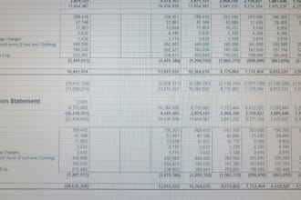 do bookkeeping, financial statements, payroll, and audit