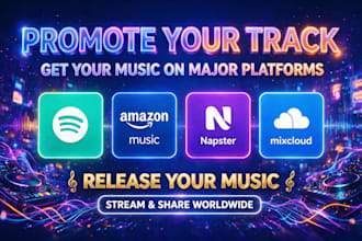 promote your track on spotify, amazon music, napster and mixcloud platforms