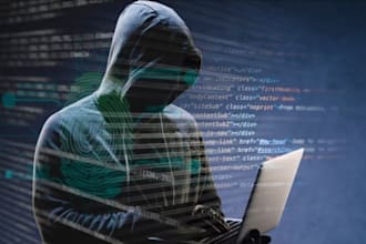 professional website vulnerability assessment and security report