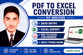 do accurate PDF to excel conversion and data entry work