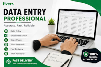 do excel data entry and google sheets data entry work