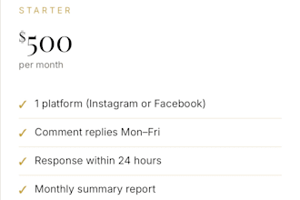manage a real estate professional social media