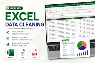 clean organize and format your excel and CSV data