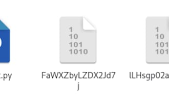 vulnerability assessment and pen testing and malware analysis