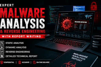 do experts malware analysis and reverse engineering with report writing
