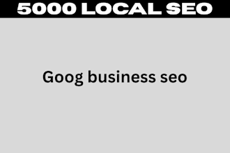 do google business local SEO USA 5000 live full optimize page score citation