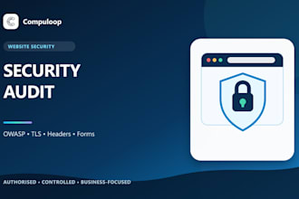 perform a website security audit and vulnerability assessment