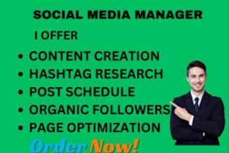 be your social media manager for organic lead engagement and dm outreach