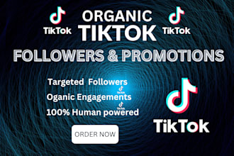 do professional tiktok promotion and social media marketing