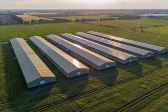design cgi 3d poultry farm, poultry layout, chicken farm, broiler farm