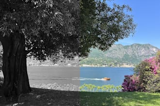 recolor your photos professionally