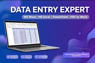 do data entry, ms word, excel dashboard and powerpoint work