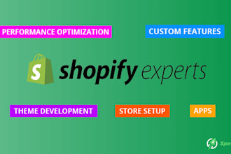 set up advanced shopify automated workflows and custom data feeds
