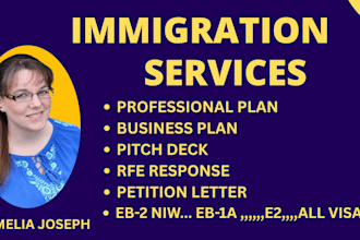 write professional plan for eb2 niw petition