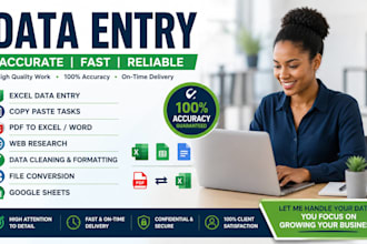 excel data entry, PDF to excel, web research and copy paste