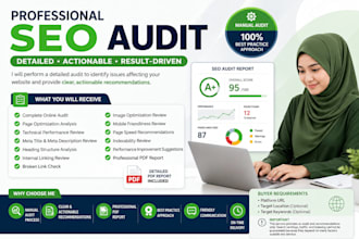 do professional SEO audit