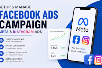 setup and manage facebook ads ecommerce ads campaign meta instagram ads