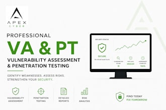 perform website penetration testing and vulnerability assessment