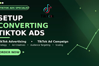 setup tiktok ads campaign, tiktok ads, tiktok advertising, tiktok ads manager