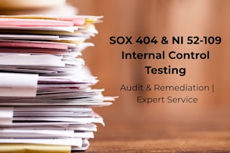 perform sox or ni 52109 internal control audit
