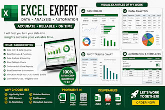 professionally do your excel tasks like data entry cleaning ,formula ,lookup etc