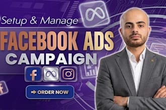 setup and manage meta ads campaigns