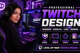 create a professional twitch animated overlay