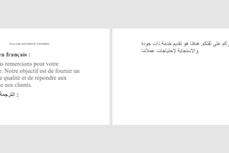 traduction francais arabe pro
