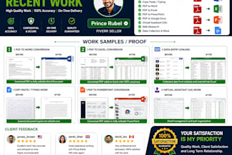 do accurate data entry and PDF conversion
