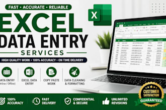 do excel data formating ,cleaning and data entry