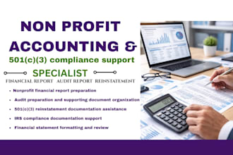 prepare nonprofit financial reports, audit support documents