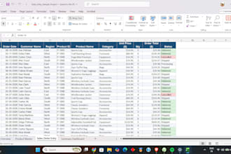 accurate excel data entry and data cleaning