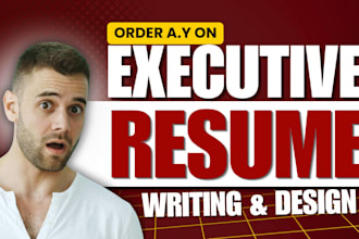 provide professional executive resume writing service