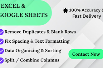 do google sheets and excel data formatting,  cleanup work