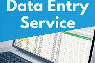 do fast and accurate data entry, typing and excel work