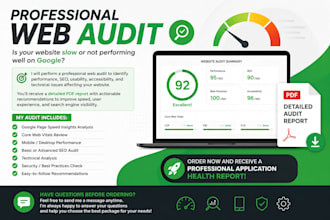 perform a professional website SEO audit report