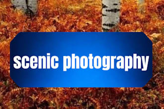do scenic nature photography