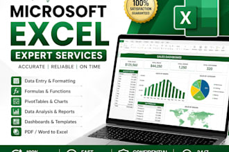 exceli will do professional microsoft excel data entry,