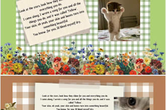 design custom aesthetic canva templates and presentations