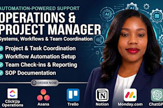 be your virtual operations and project manager with automation expertise