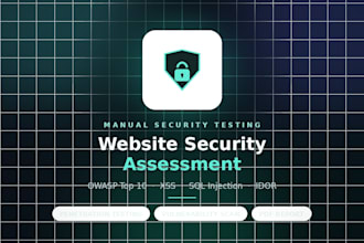 perform a website vulnerability assessment and report