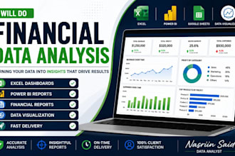 do financial data  analysis, excel  dashboard and report