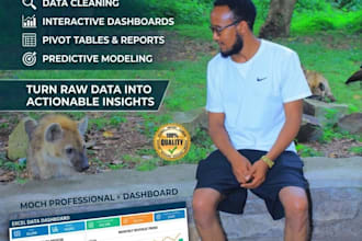 do data analysis, excel report, and pivot tables