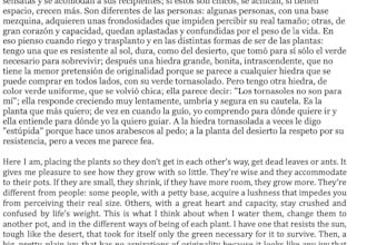 translate literary pieces from english to spanish or viceversa