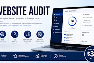 perform a professional website audit