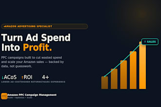 audit and optimize your amazon ppc campaign