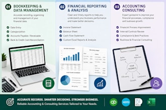 accounting and business consultant